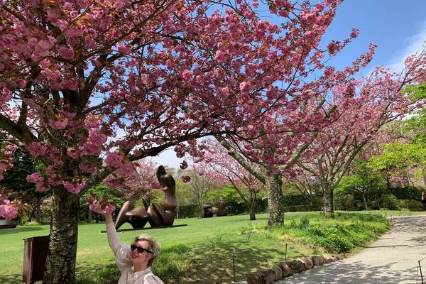 Hakone - Japan - Doets Reizen