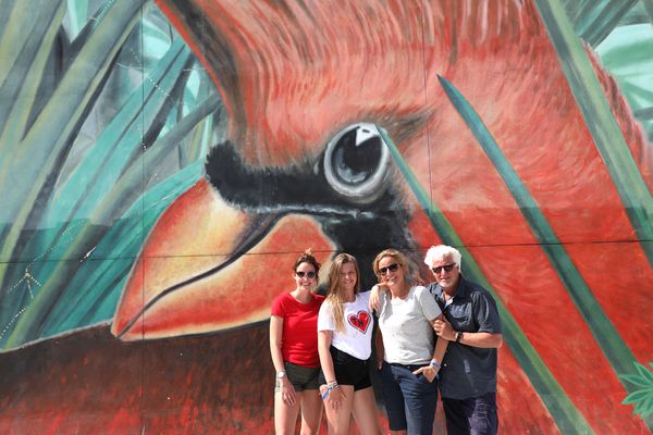 Wynwood Walls - Miami - Florida - Doets Reizen