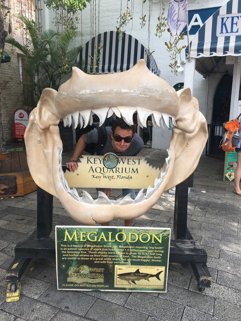 Key West - The Keys - Florida - Doets Reizen