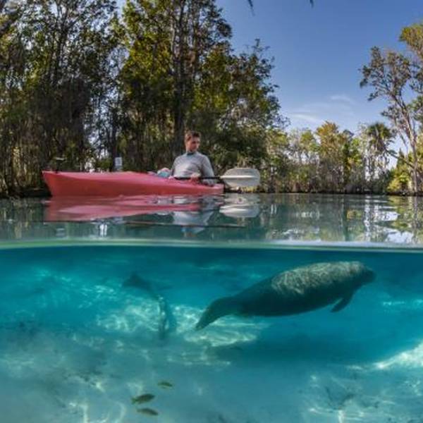 Paddletail- Crystal River -Doets Reizen -Omgeving
