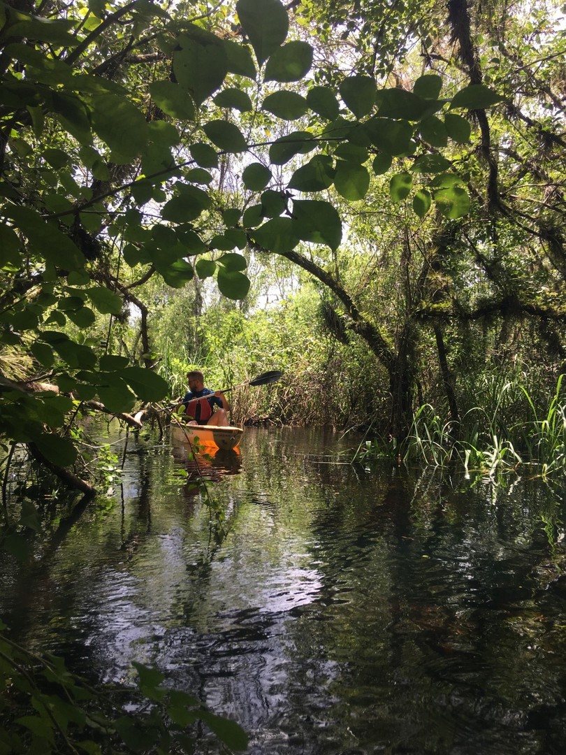 Mangrove Tunnel Tour - Everglades National Park - Florida - Doets Reizen