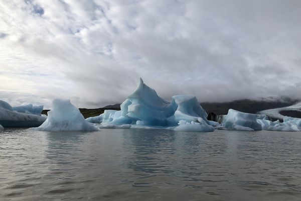 Fjallsárlón gletsjermeer - IJsland - Doets Reizen