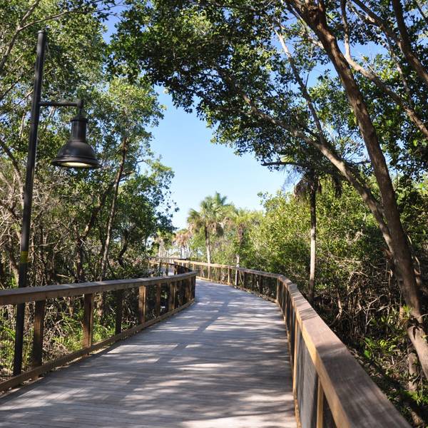 Boardwalk - Everglades National Park - Florida - Doets Reizen