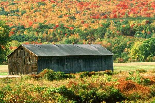 Indian Summer - The Berkshires - Massachusetts - Doets Reizen