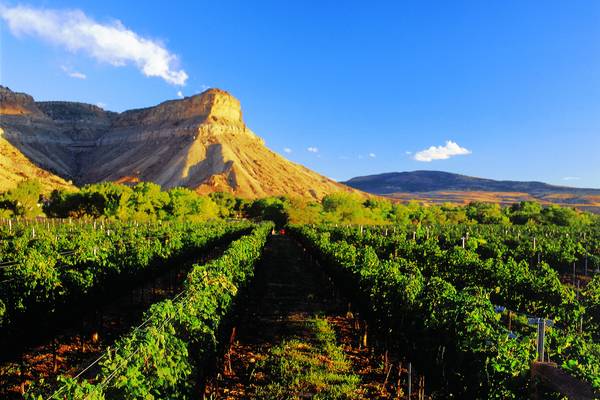 Grand Junction - Colorado - Doets Reizen