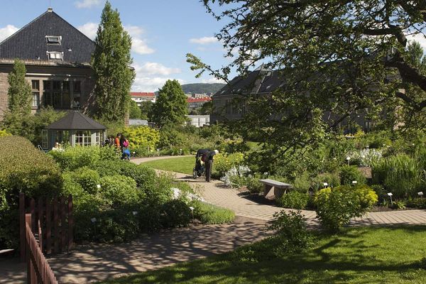 Natural History Museum Oslo - Doets Reizen - Vakantie Noorwegen - Credits VisitNorway
