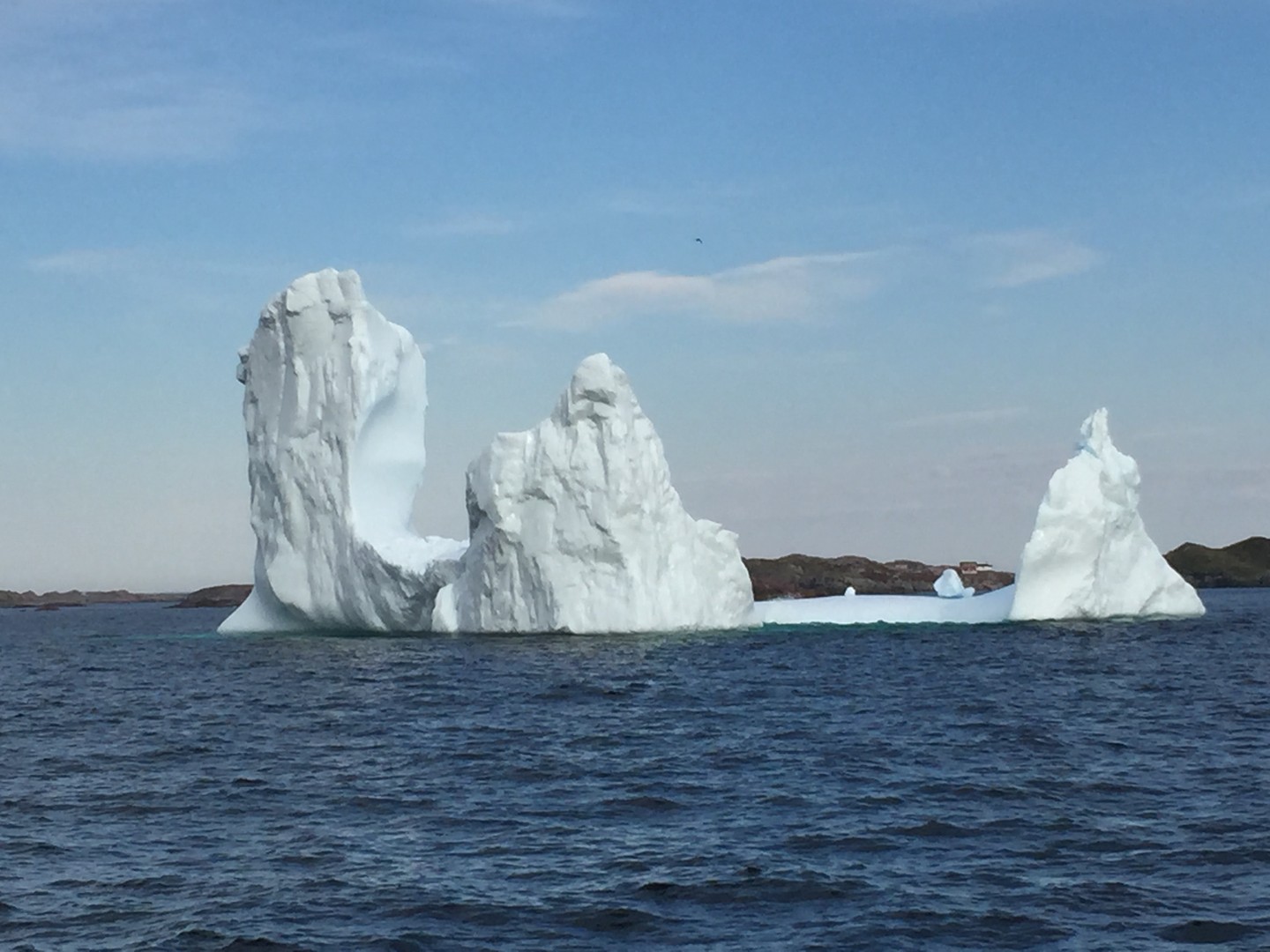 Iceberg Alley - Fogo Island - Newfoundland & Labrador - Canada - Doets Reizen