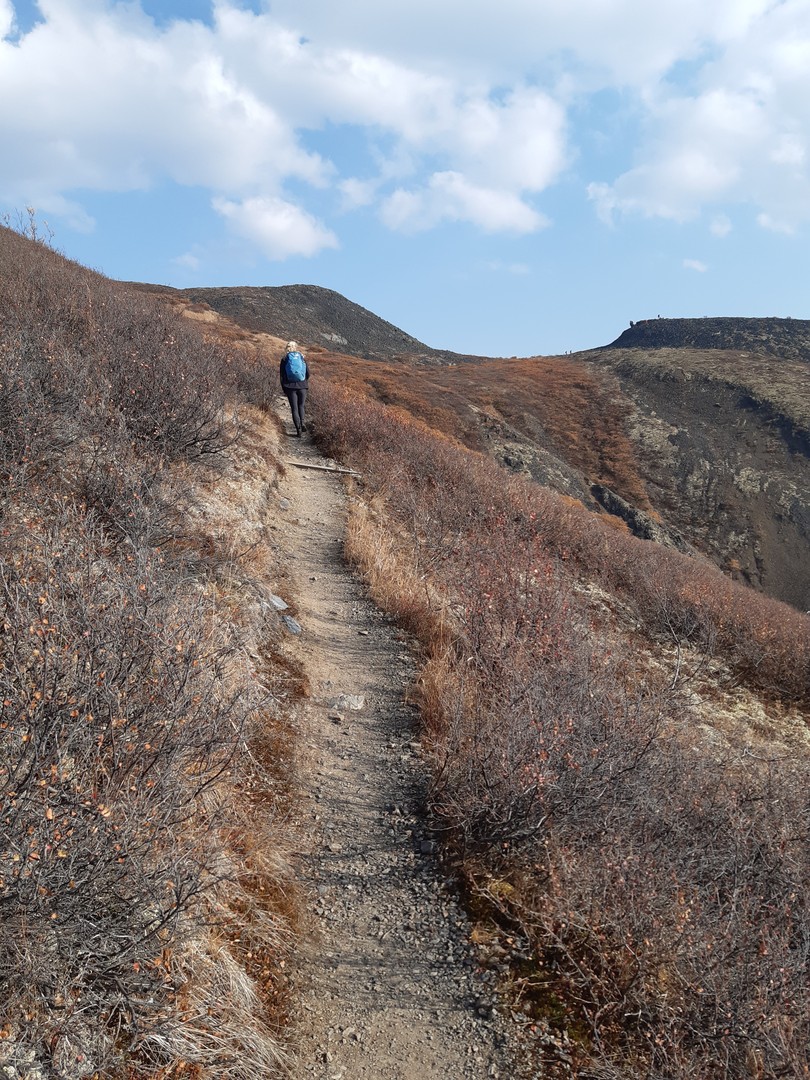 Goldensdies Hike - Tombstone Territorial Park - Yukon - Canada - Doets Reizen