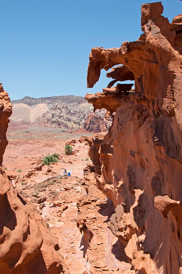 Gold Butte National Monument - Nevada - Doets Reizen - Credits Travel Nevada and Sydney Martinez