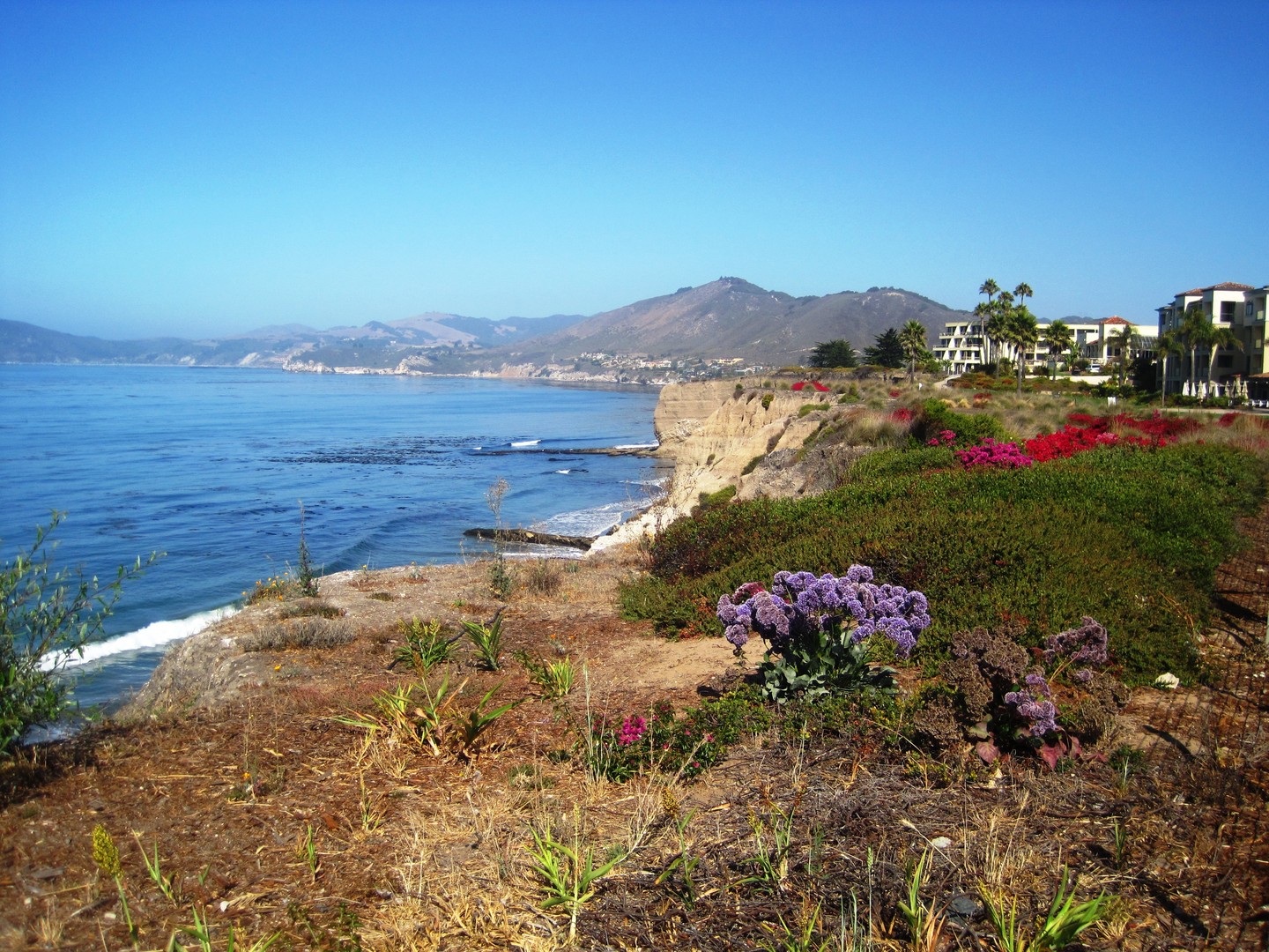 Central Coast Area - California - Amerika - Doets Reizen