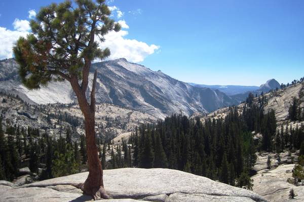 Tioga Pass - Yosemite National Park - California - Doets Reizen