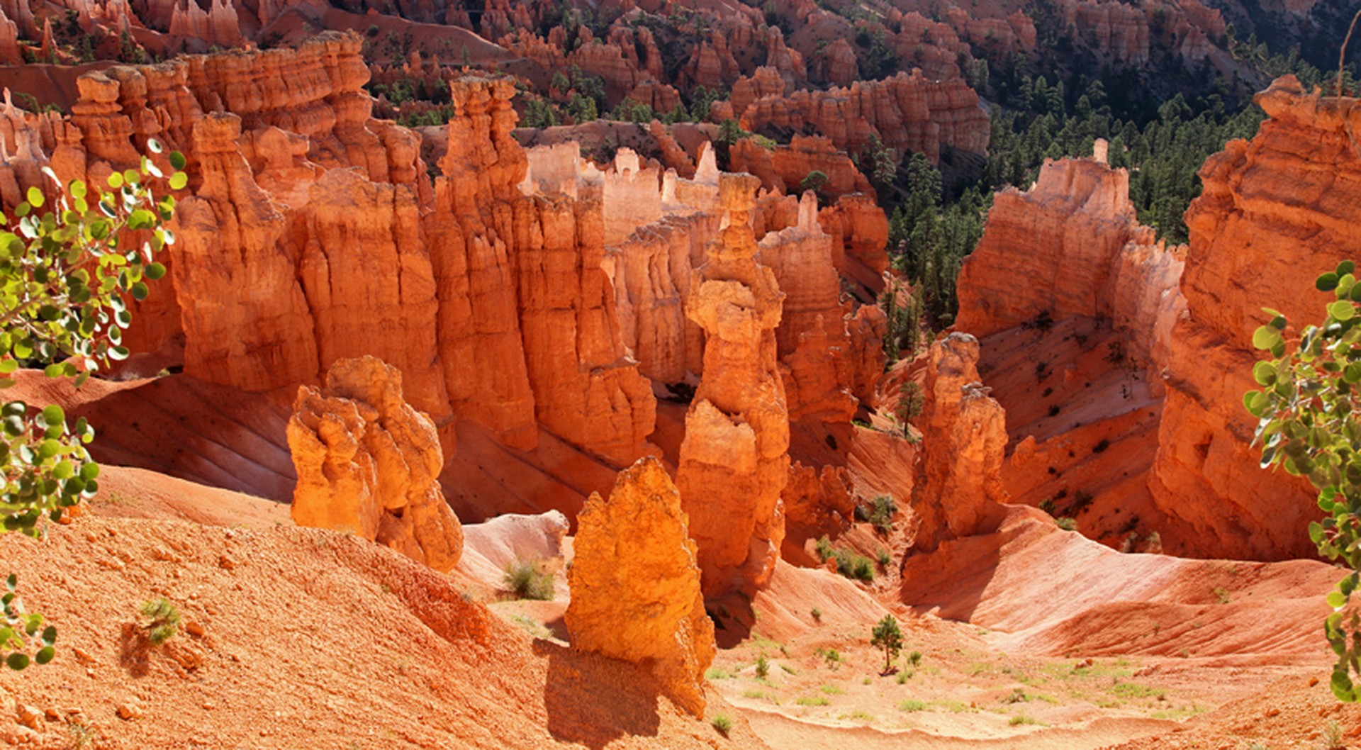 Bryce Canyon National Park - Utah - Doets Reizen