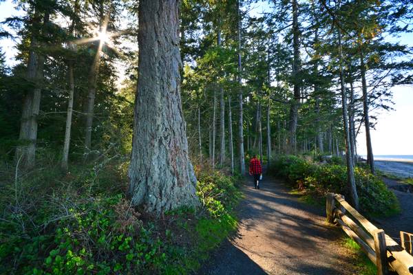 Rathtrevor Beach Provincial Park - Parksville - Canada - Photo credits: Robert Reid and BC Parks