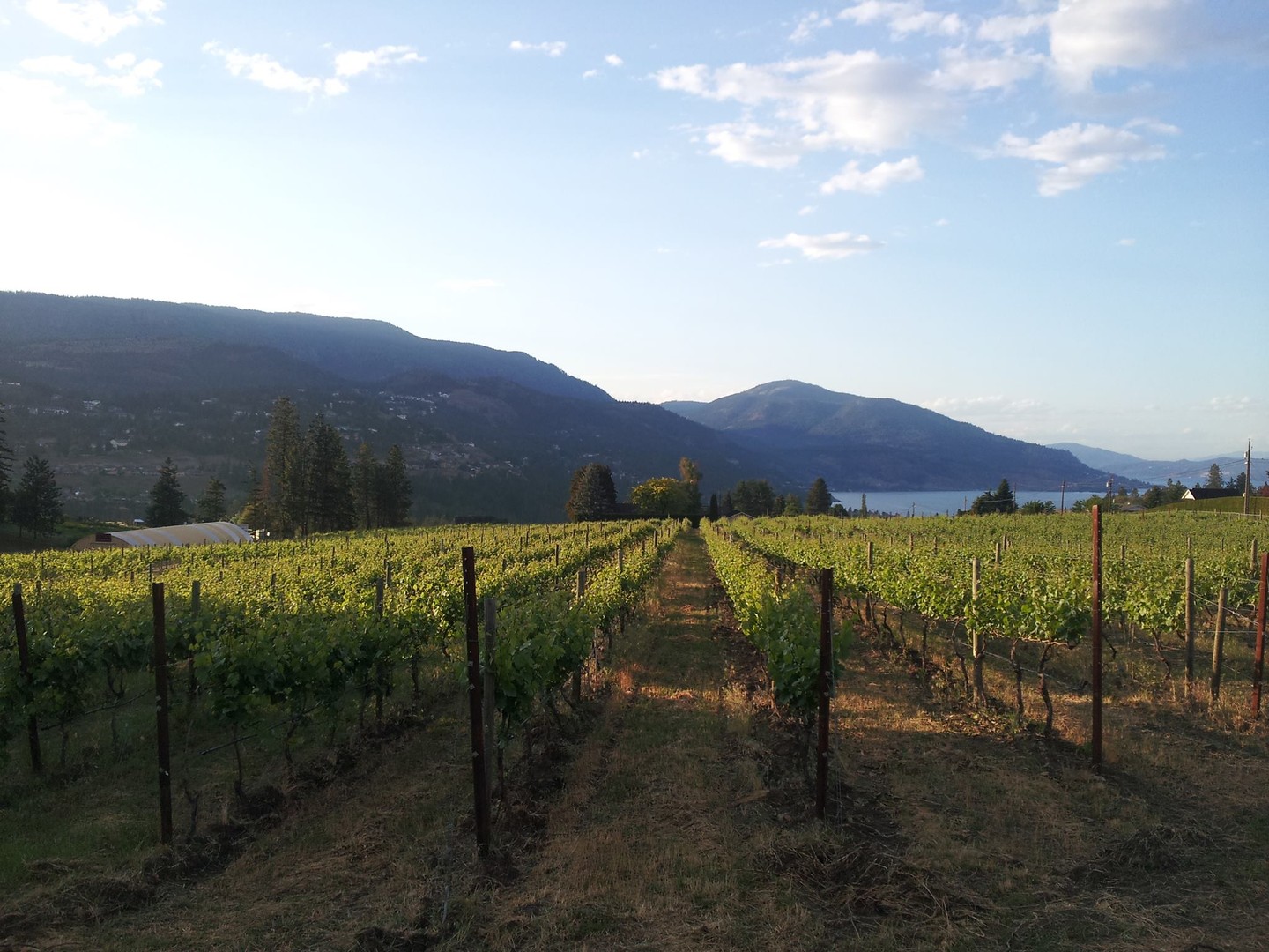 Rollingdale Winery - Kelowna - Okanagan Valley - British Columbia - Canada - Doets Reizen