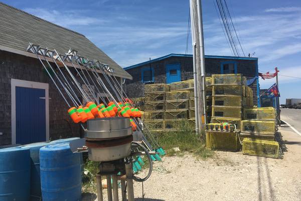 Martha's Vineyard - Massachusetts - Doets Reizen