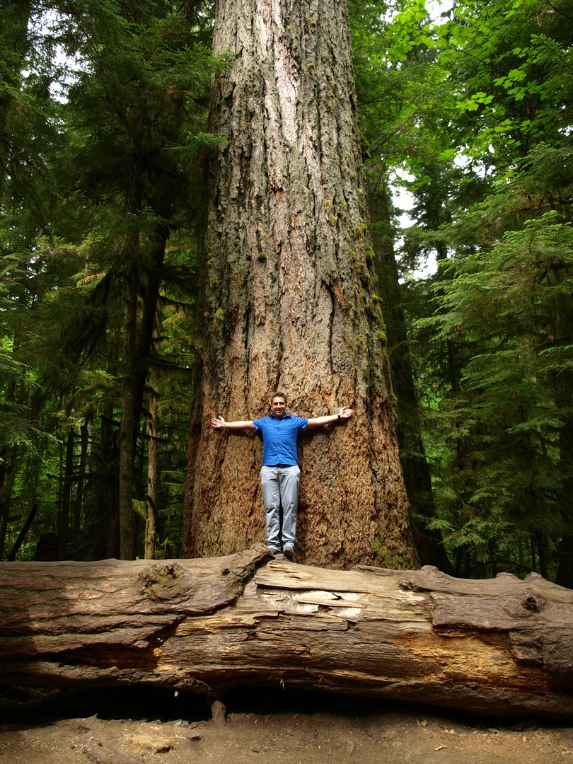 McMIllan Provinciale Park - Cathedral Grove -Vancouver Island - British Columbia - Canada - Doets Reizen