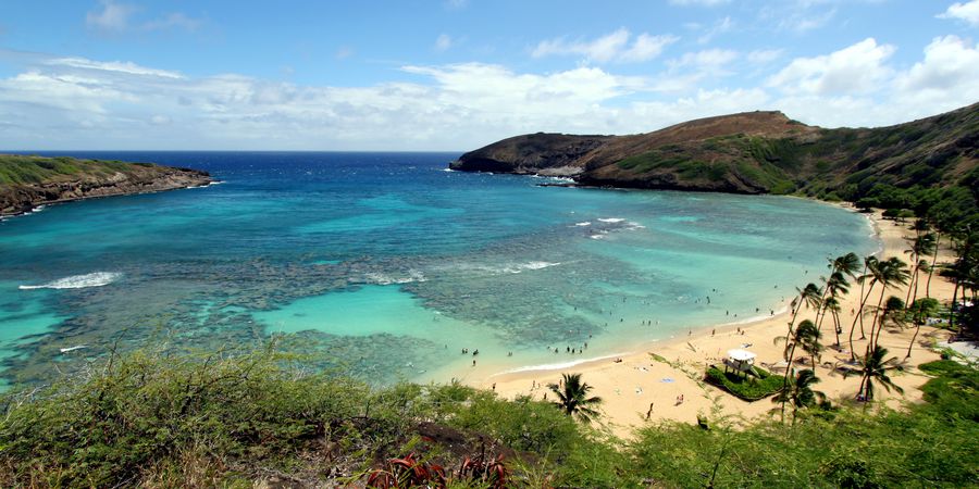 Hanauma Bay Nature Preserve Hawaii Oahu Amerika