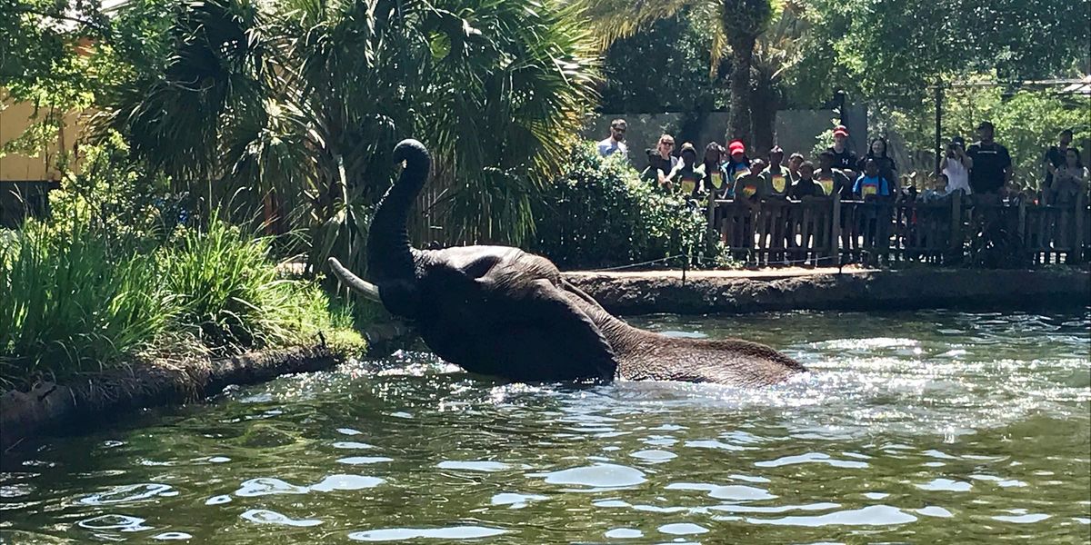 Jacksonville Zoo and Gardens - Florida - Doets Reizen