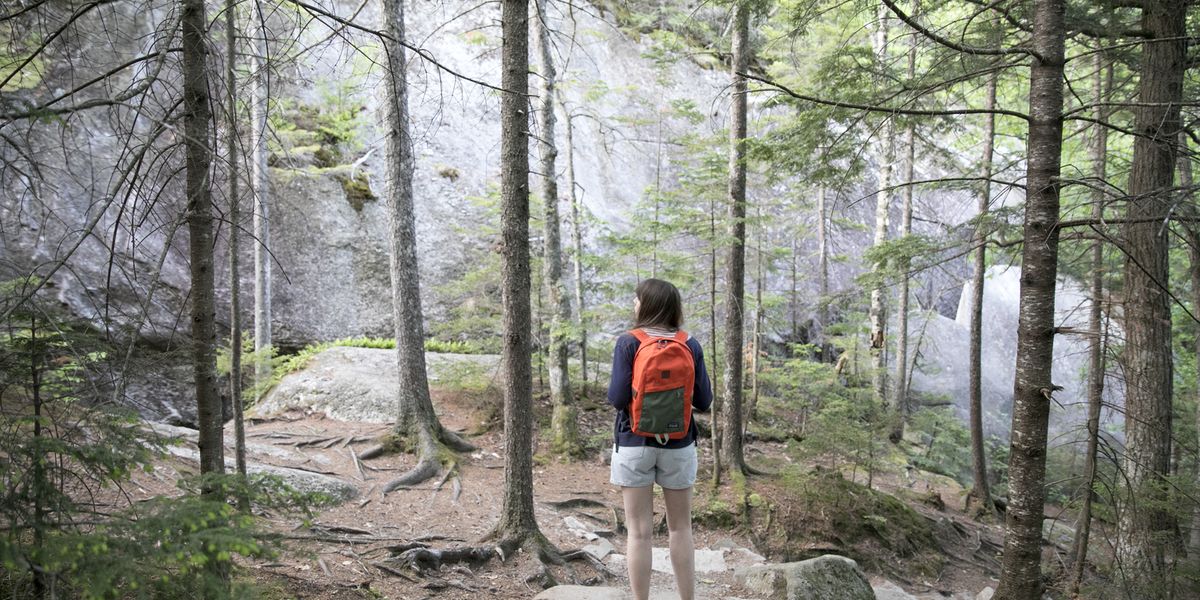 Maine - Amerika - New England - Doets Reizen - Photocredits Visit the USA and Brand USA