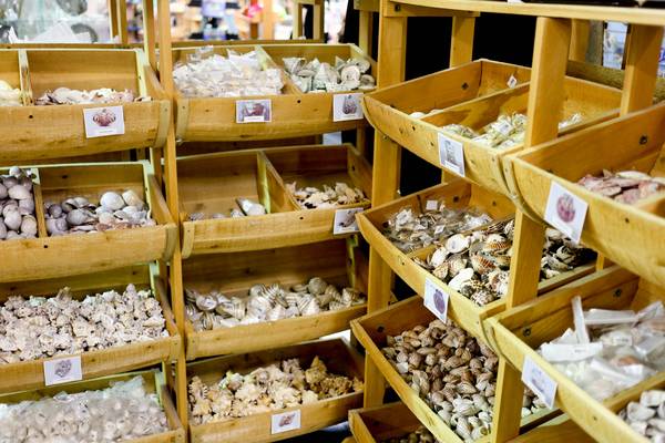 Shell Factory Florida - Fort Myers Beach - Florida - Doets Reizen