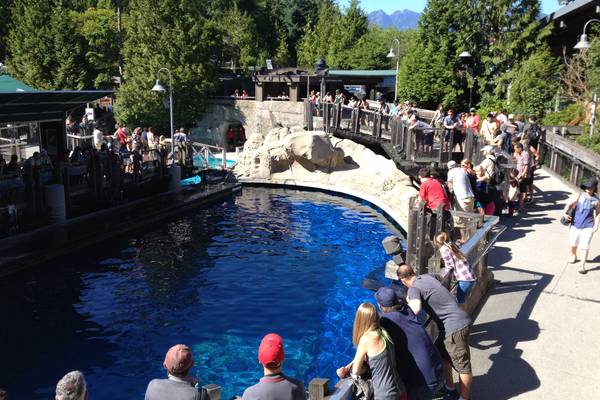 Vancouver Aquarium - British Columbia - Canada - Doets Reizen