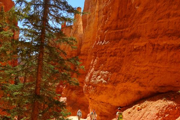 Bryce Canyon National Park - Utah - Doets Reizen
