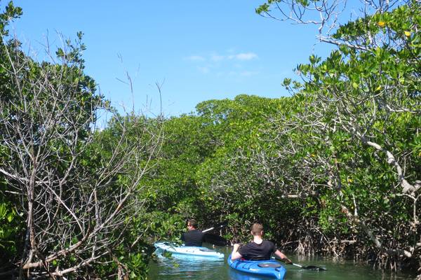 Kajakken - The Keys - Florida - Doets Reizen