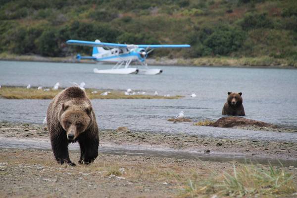 Kodiak Island - Vakantie Alaska - Doets Reizen - Credits to Discover Kodiak Island and All Alaska Tours