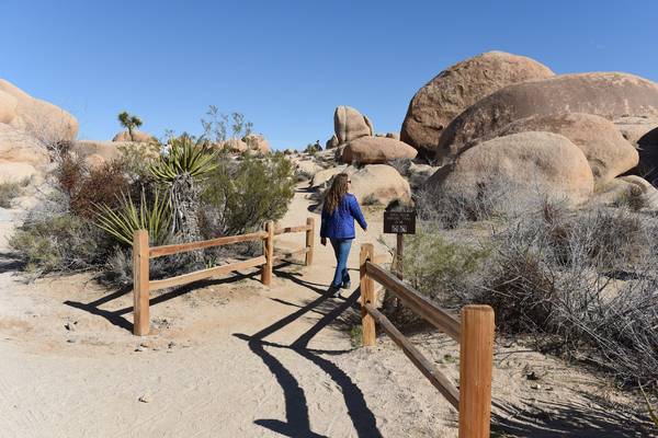 Joshua Tree National Park - California - Amerika - Doets Reizen