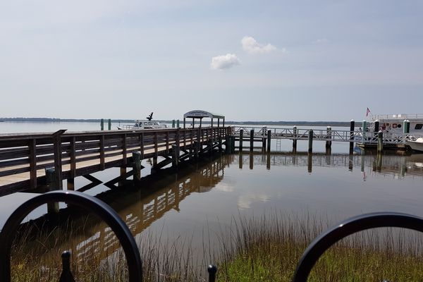 Cumberland Island National Seashore - Georgia - Amerika - Doets Reizen