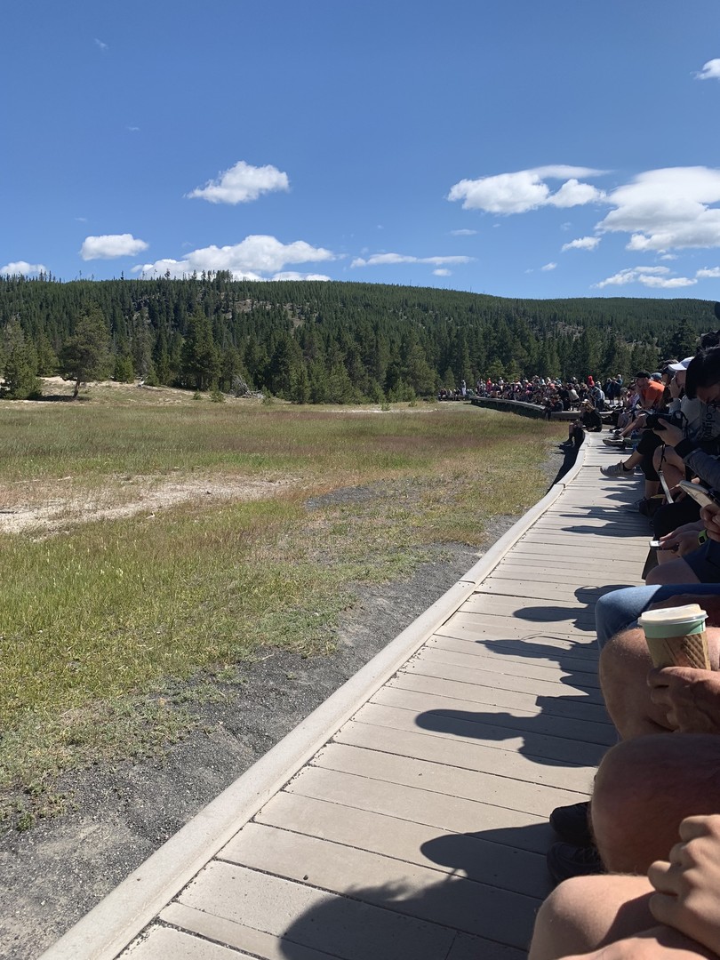 Old Faithful - Yellowstone National Park - Wyoming - Doets Reizen