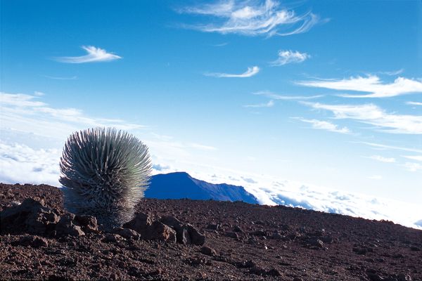 Haleakala National Park - Maui - Hawaii - Doets Reizen