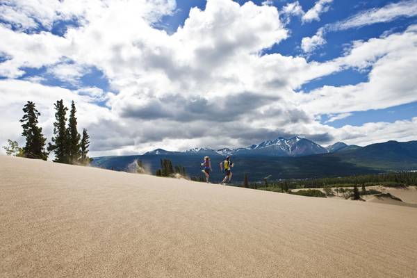 Carcross Desert - Yukon - Canada - Doets Reizen