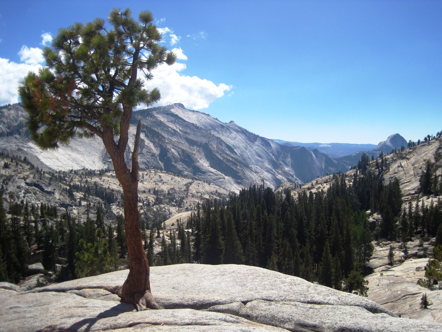 Tioga Pass - Yosemite National Park - California - Doets Reizen
