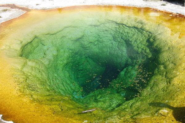 Geisers - Yellowstone National Park - Wyoming - Doets Reizen