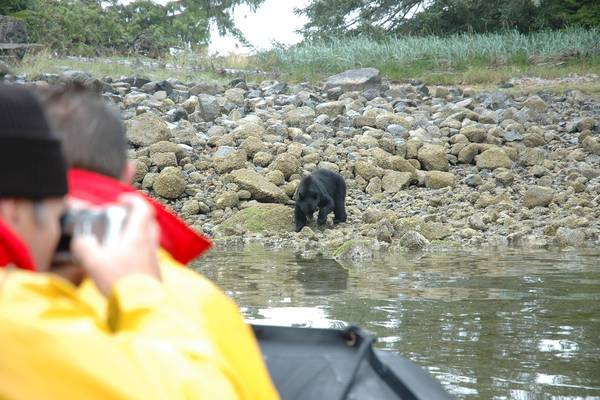 Tofino - Pacific Rim National Park - Vancouver Island - British Columbia - Canada - Doets Reizen