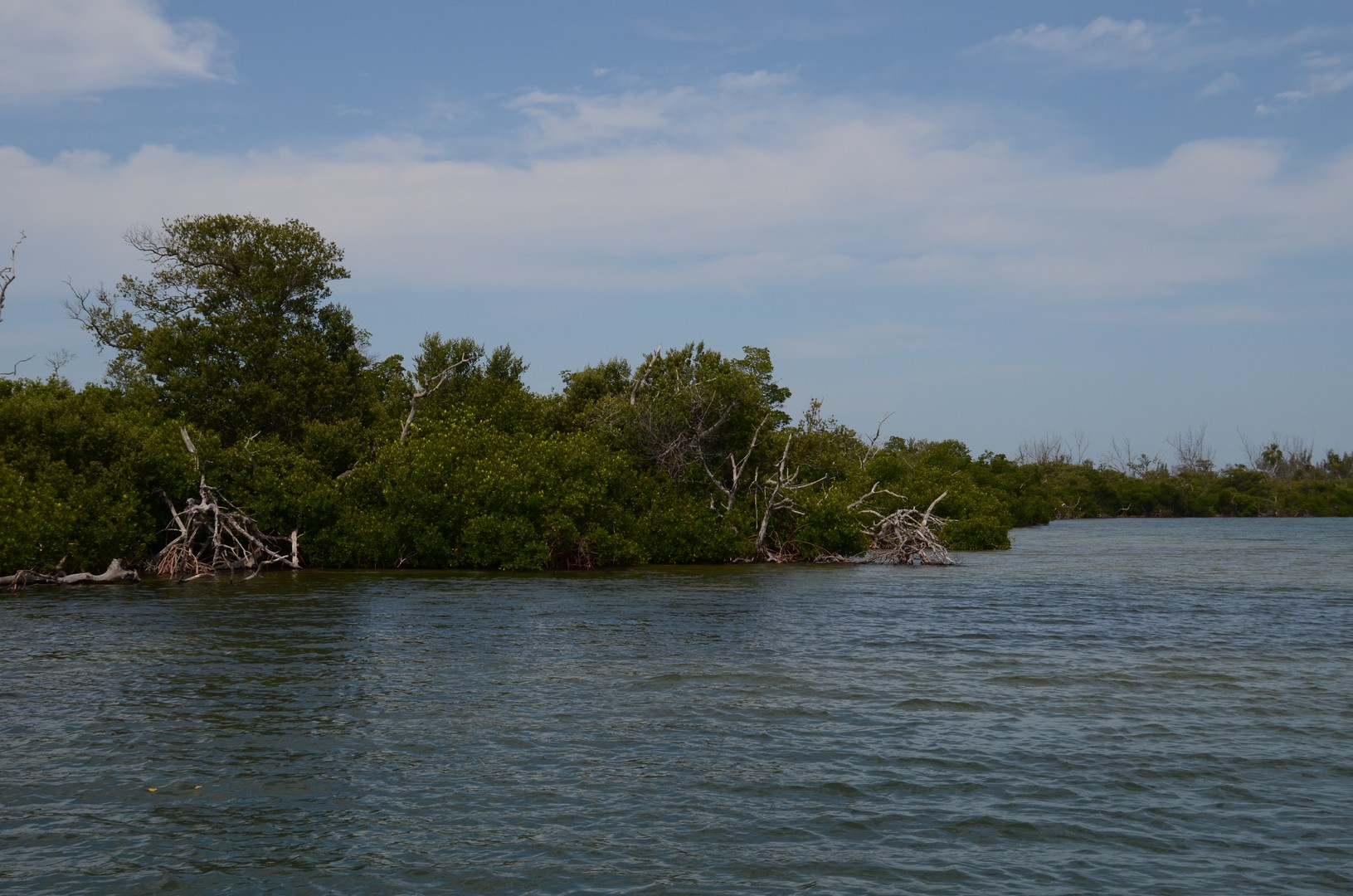 Boottocht Captiva Island - Florida - Doets Reizen