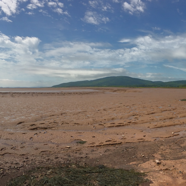 Bay of Fundy National Park - New Brunswick - Canada - Doets Reizen