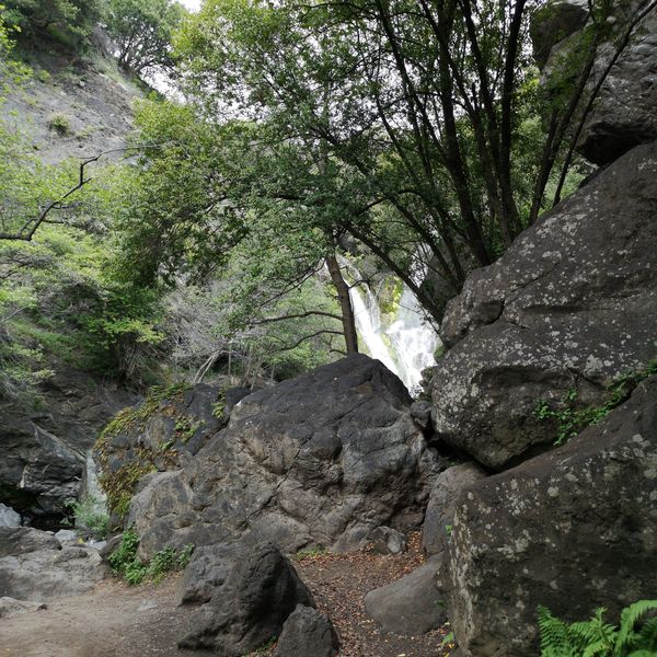 Salmon Creek Trail - Big Sur - Highway 1 - California - Amerika - Doets Reizen