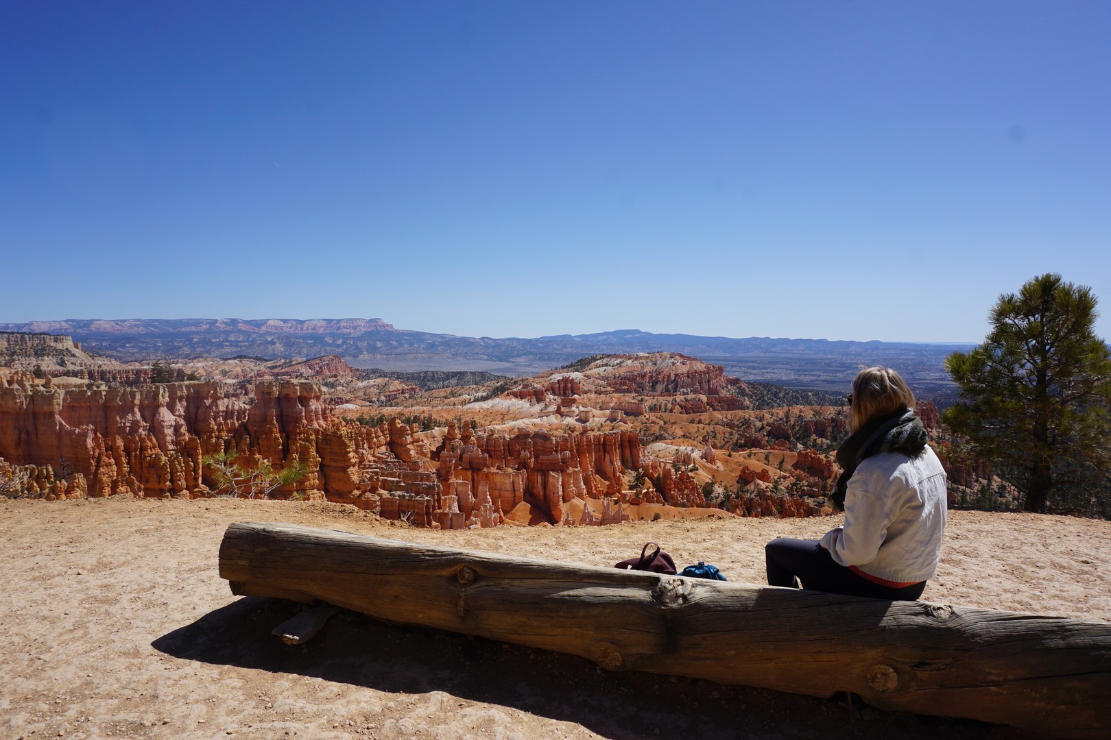 Bryce Canyon National Park - Utah - Vakantie West Amerika - Doets Reizen (37)