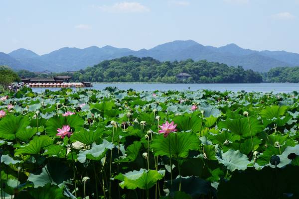 West Lake Hangzhou China | Doets Reizen