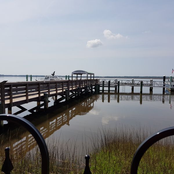 Cumberland Island National Seashore - Georgia - Amerika - Doets Reizen