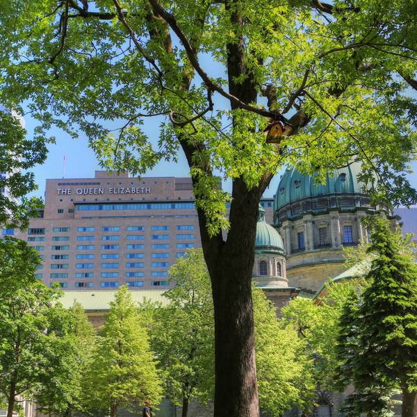 Fairmont Queen Elizabeth Hotel - buiten