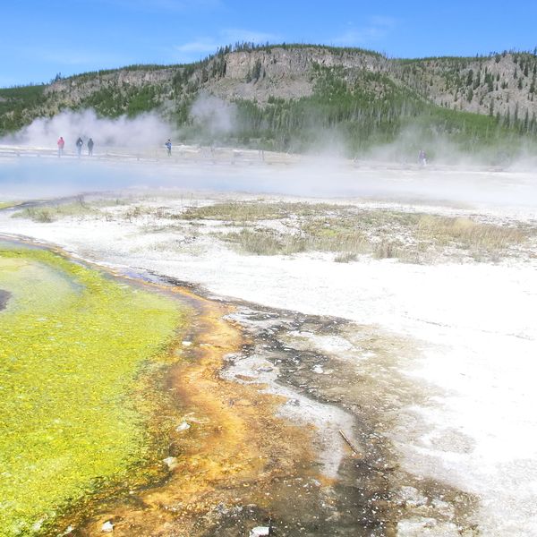 Yellowstone National Park - Wyoming - Doets Reizen