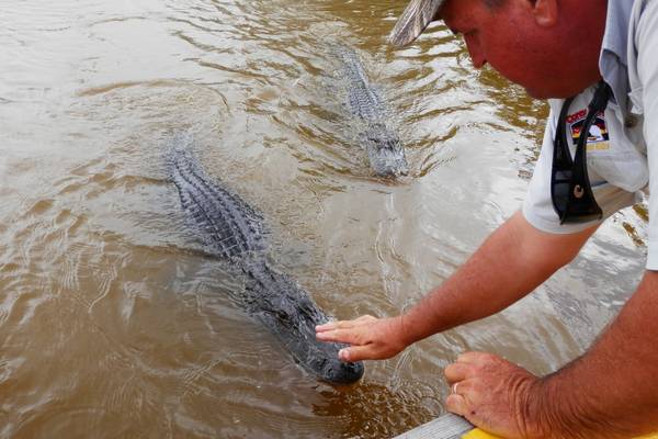 Everglades National Park - Florida - Doets Reizen