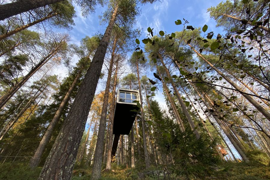 Elske Doets in Zweden - Treehotel Zweden - Treehotel Sweden - Treehotel - Vakantie Zweden - Doets Reizen
