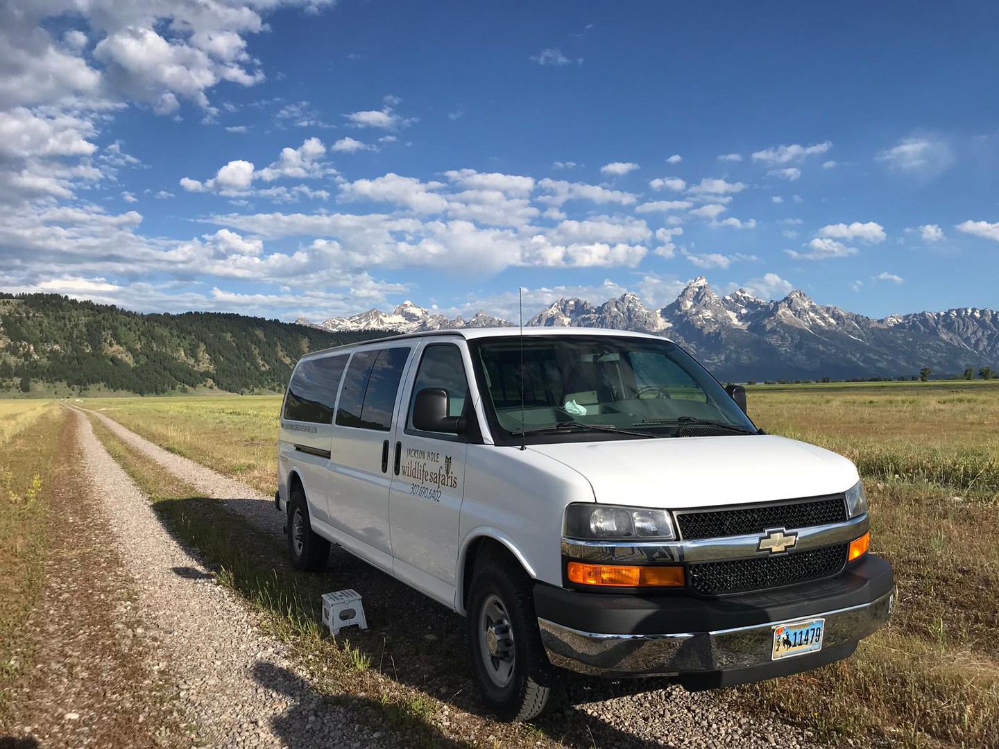 Wildlife Safari - Grand Teton National Park - Wyoming - Doets Reizen