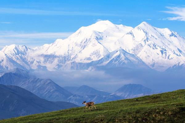 Alaska - Denali National Park - All ALaska Tours - Doets Reizen - USA - Canada