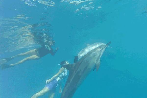 Big Island - Hawaii - Doets Reizen