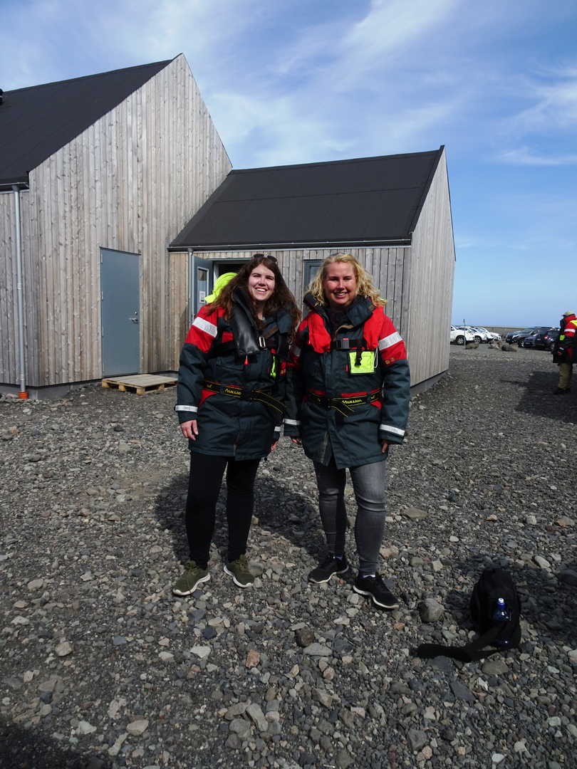Fjallsárlón Iceberg Lagoon - IJsland - Doets Reizen